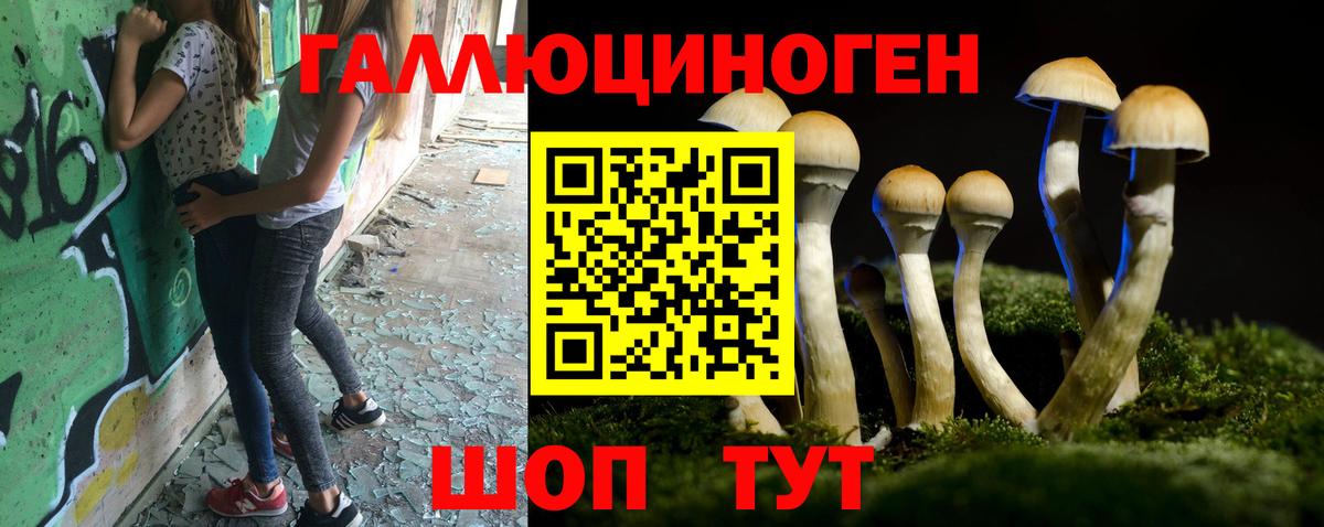 Галлюциногенные грибы Psilocybe  Вход с VPN  Вологда 